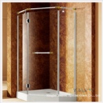 Shower Enclosure and Doors