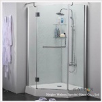 Shower Enclosure and Doors
