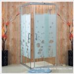 Shower Enclosure and Doors