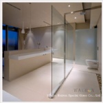 Glass Walls and Partitions